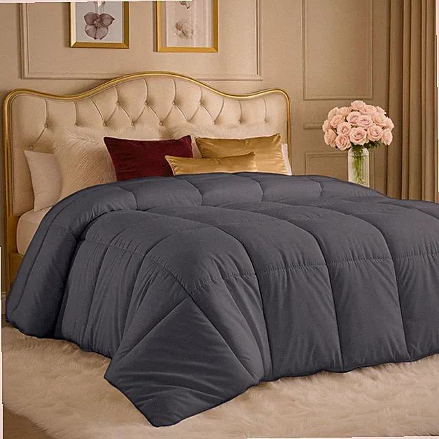 Comforters Twin Size, All Season Duvet Insert, Down Alternative Box Stitched...