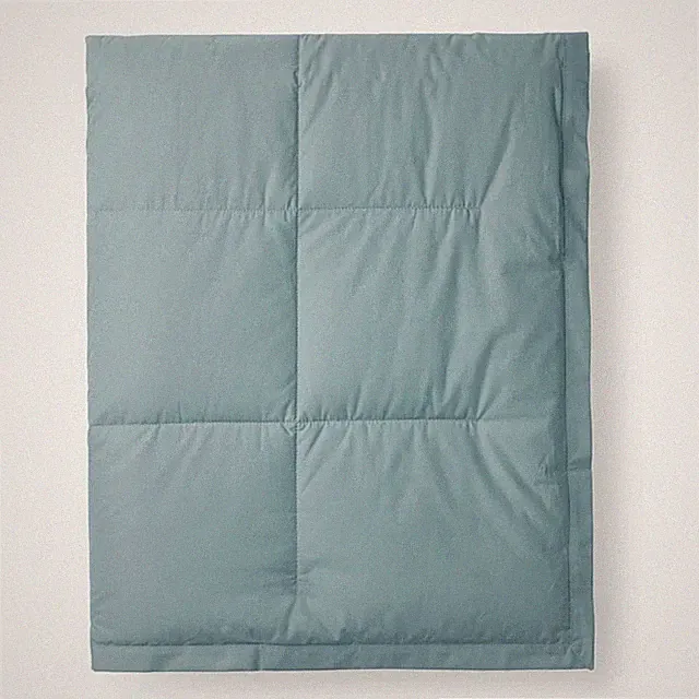 NEW Premium LoftAIRE™ Down Alternative Blanket - Sea Mist, King/Cal. King